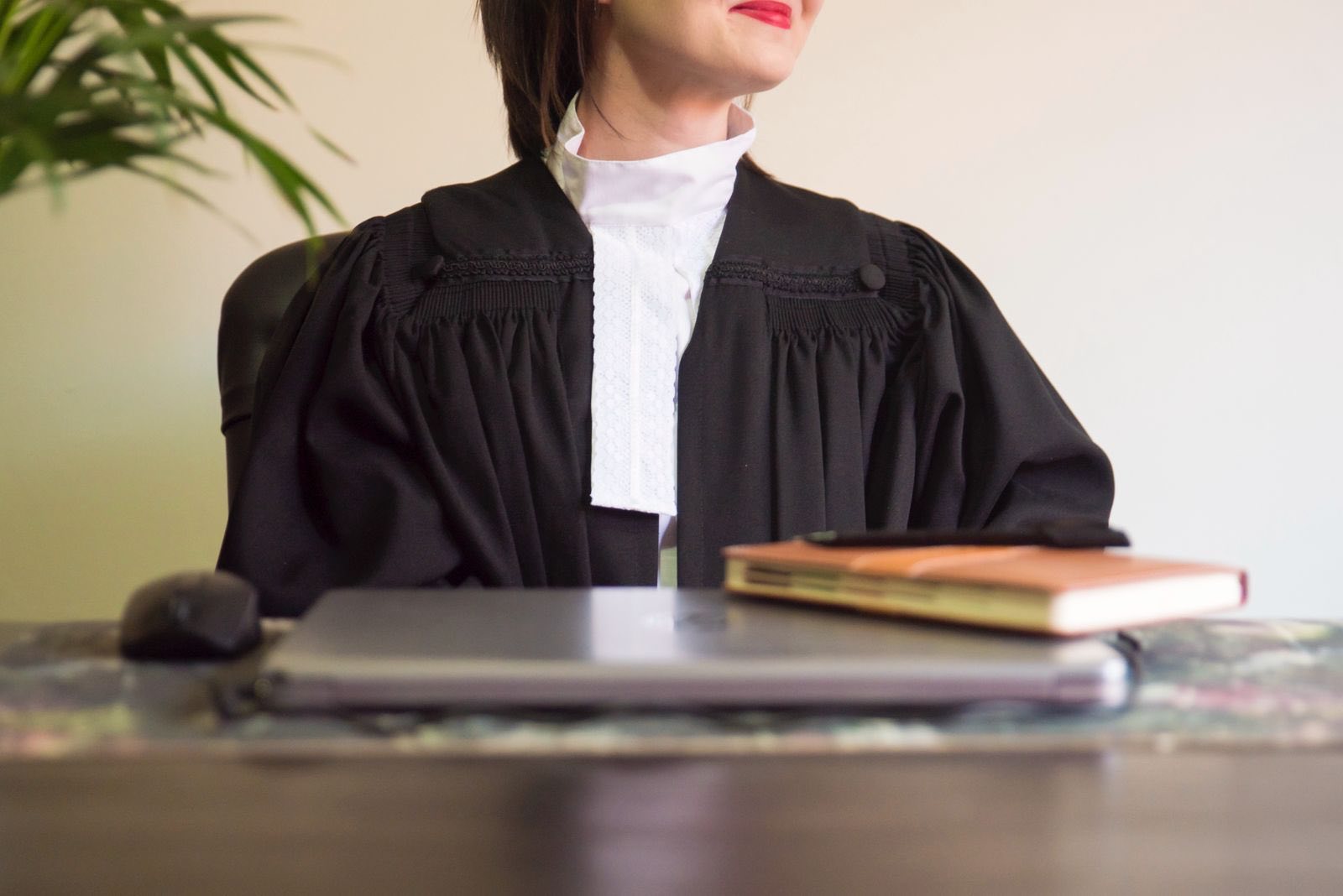 Anel Krog in attorney robes
